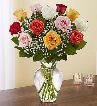 Rose Elegance&amp;trade; Premium Long Stem Assorted Roses