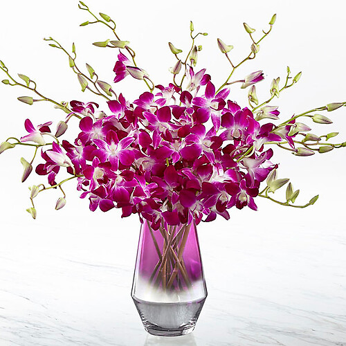 Pink at Heart&amp;trade; Orchid Bouquet